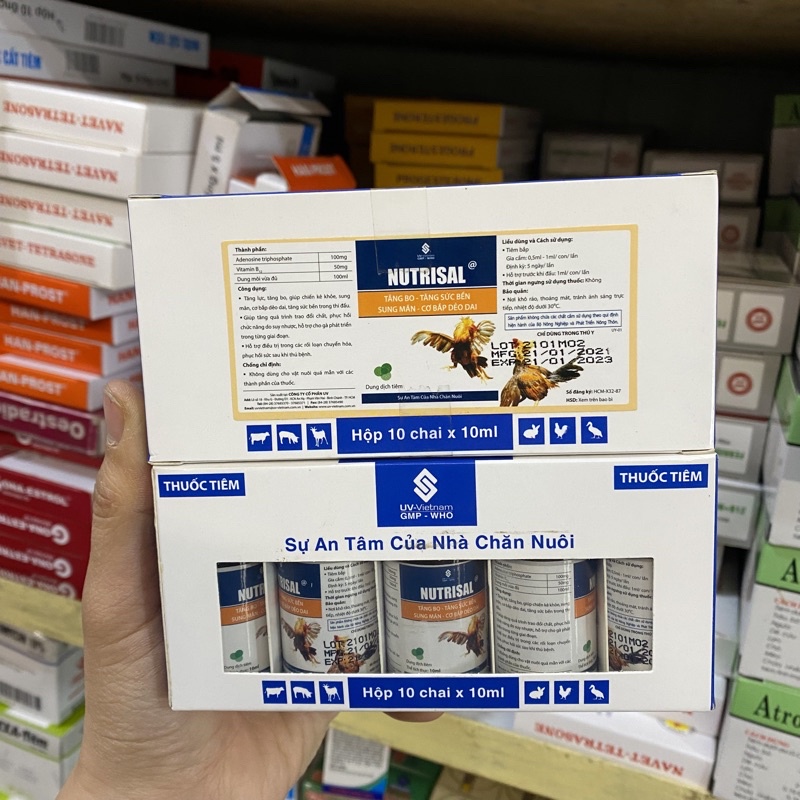 Nutrisal - Tăng bo, tăng sức bền, sung mãn dẻo dai cho gà chọi 10ml