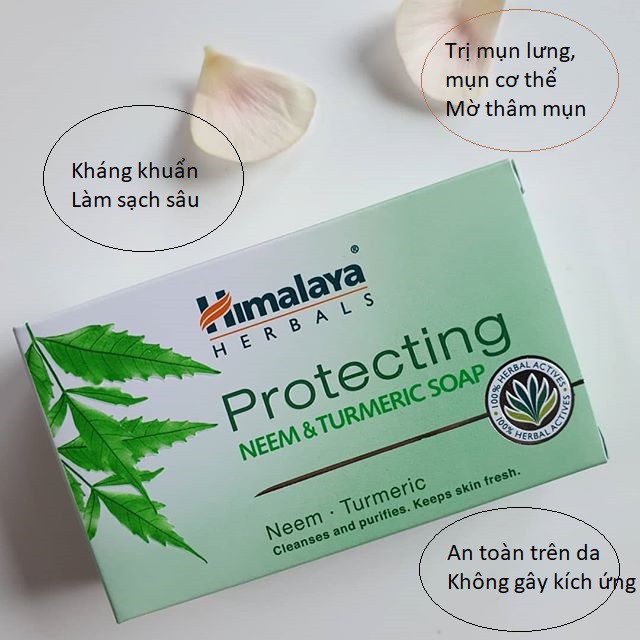 Combo giảm mụn và sáng da cơ thể sau 30 ngày Himalaya Scrub 100g và Neem Soap 75g | BigBuy360 - bigbuy360.vn