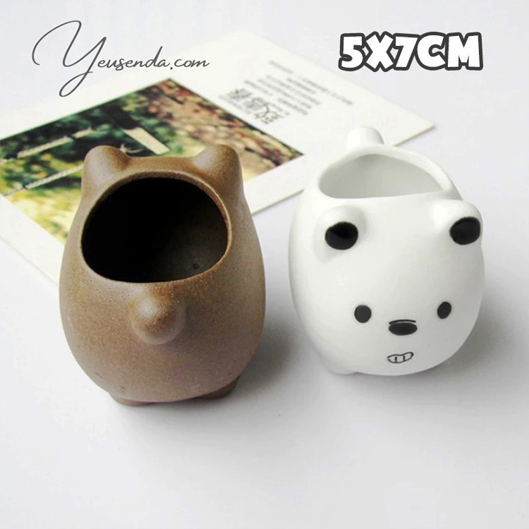 Chậu sen đá mini 5x7cm Gấu con dễ thương
