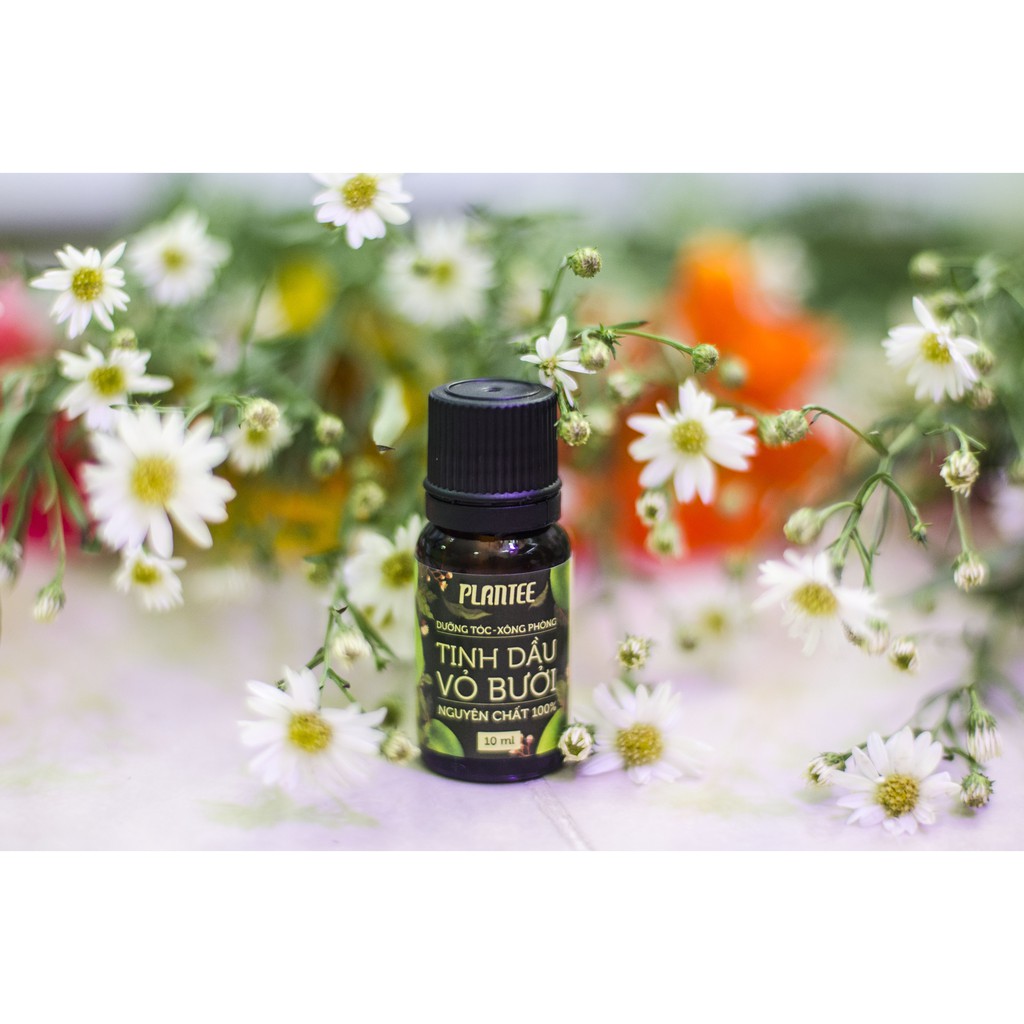 Tinh Dầu Bưởi🍁FREESHIP🍁 Tinh Dầu Bưởi Nguyên Chất Plantee Kích Thích Mọc Tóc [tinh dau] | BigBuy360 - bigbuy360.vn
