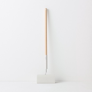 Cây Lăn Bụi Thảm MUJI
