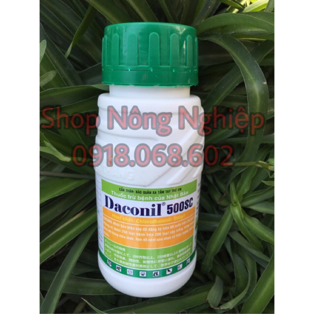 Daconil 500SC thuốc trừ nấm bệnh hại cây trồng