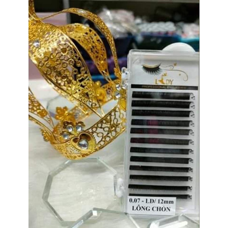 Mi lông chồn nối bắt keo nối tạo fan volume hay classic thiết kế