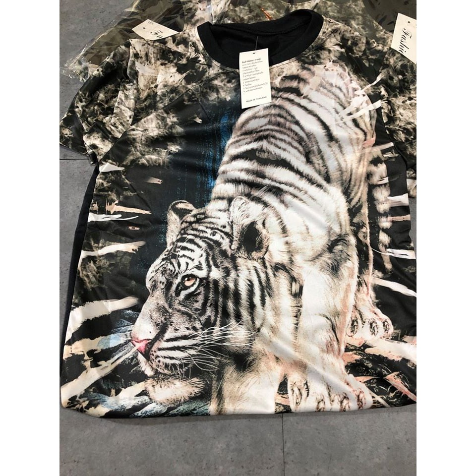 Bộ Thun Nam Cá Chép Hóa Rồng, bộ hè nam 3d cá chép in 3D chất lượng cao | BigBuy360 - bigbuy360.vn