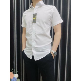 ÁO SƠ MI NAM CỘC TAY VẢI LỤA TRƠN