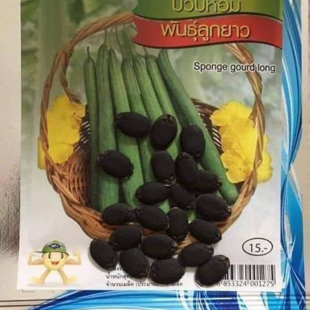 Hạt giống mướp hương thái lan nhập nguyên gói 5gr ~ 50 hạt