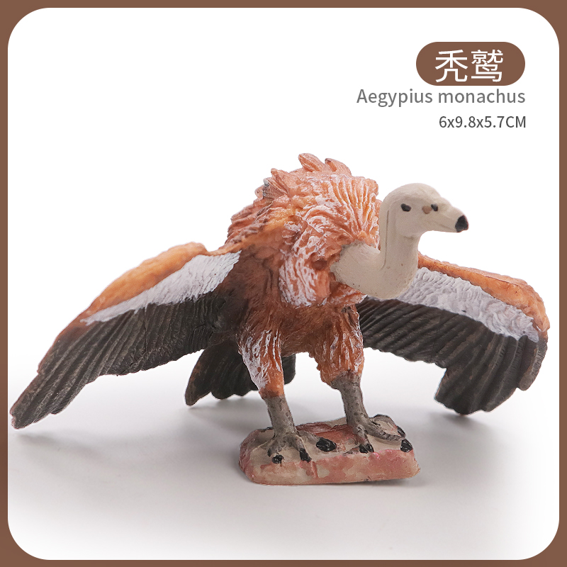 Mô hình chim hồng hạc/ chim công/ thiên nga/ chim đà điểu đồ chơi giáo dục cho bé