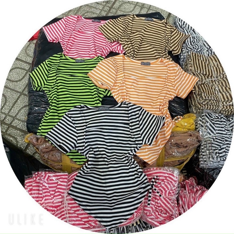 áo thun boby sọc tay ngắn rút eo