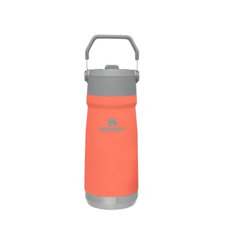 Bình giữ nhiệt Stanley Flip Straw Water Bottle 500ml