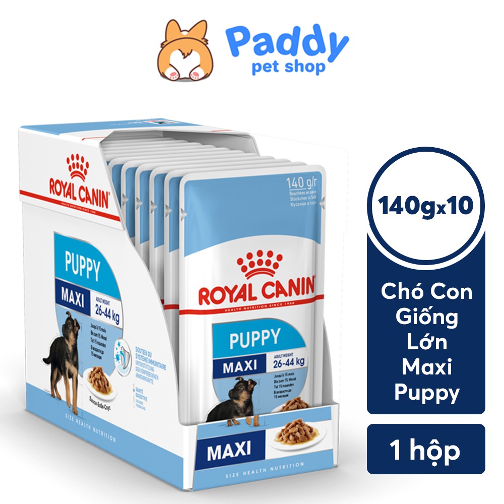 [Hộp 10 Gói] Pate Royal Canin Maxi Puppy Cho Chó Con Giống Lớn (140g)