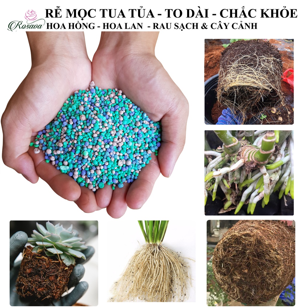 Phân npk, phân bón đầu trâu nhập khẩu cho hoa hồng, cây cảnh, hoa giấy, sen đá, hoa lan, rau