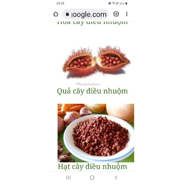 Combo 2 cây điều nhuộm, điều màu
