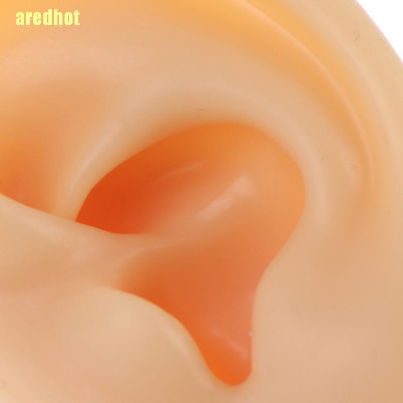 (Hàng Mới Về) Giá Trưng Bày Bông Tai Bằng Silicone