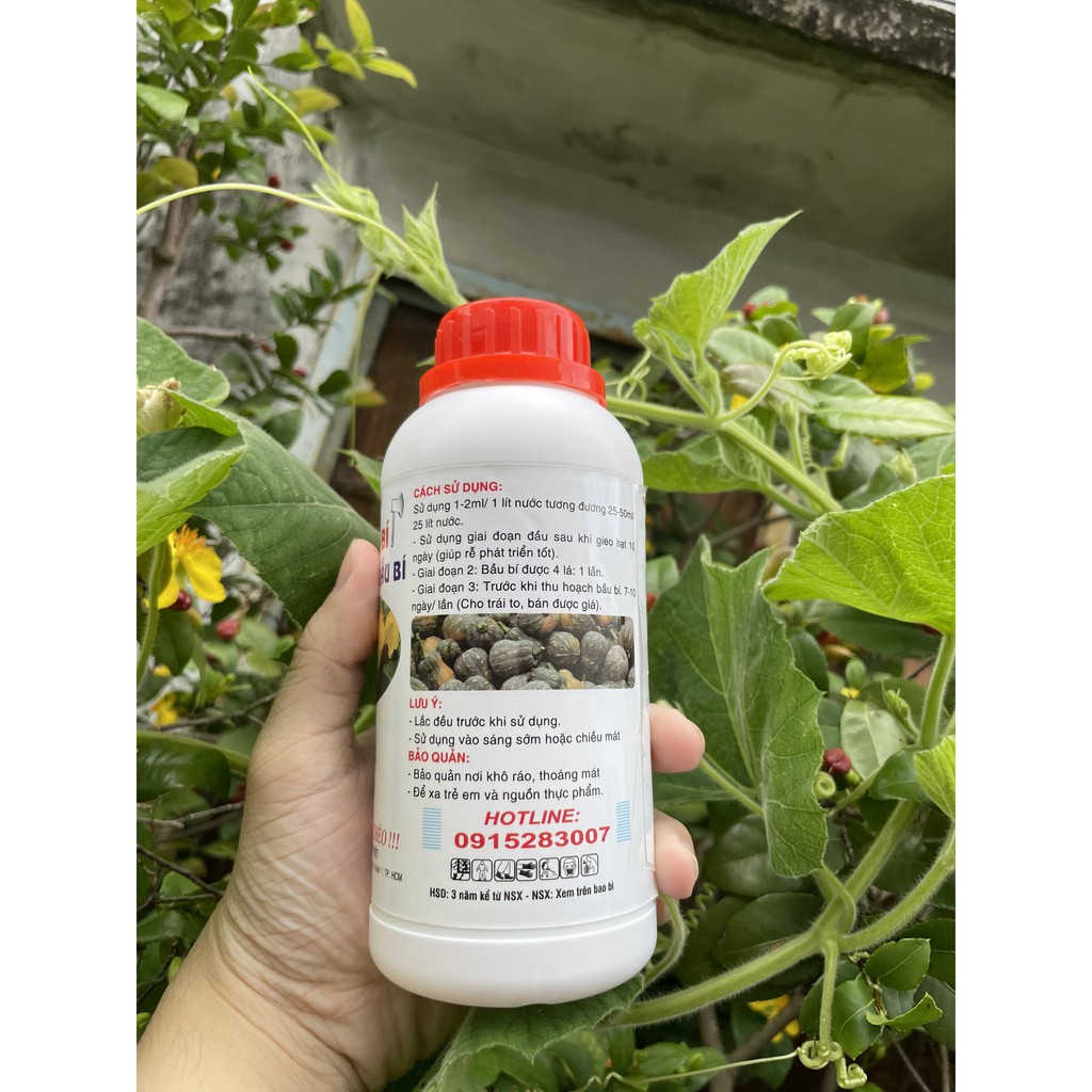 Phân Bón Cho Bầu Bí Max Fruit Chai 0,5 Lít - Dây Mập, Nhú Đọt, Phát Chèo