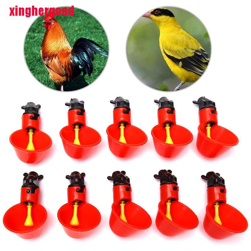 Set 10 Cốc Uống Nước Tự Động Cho Gà