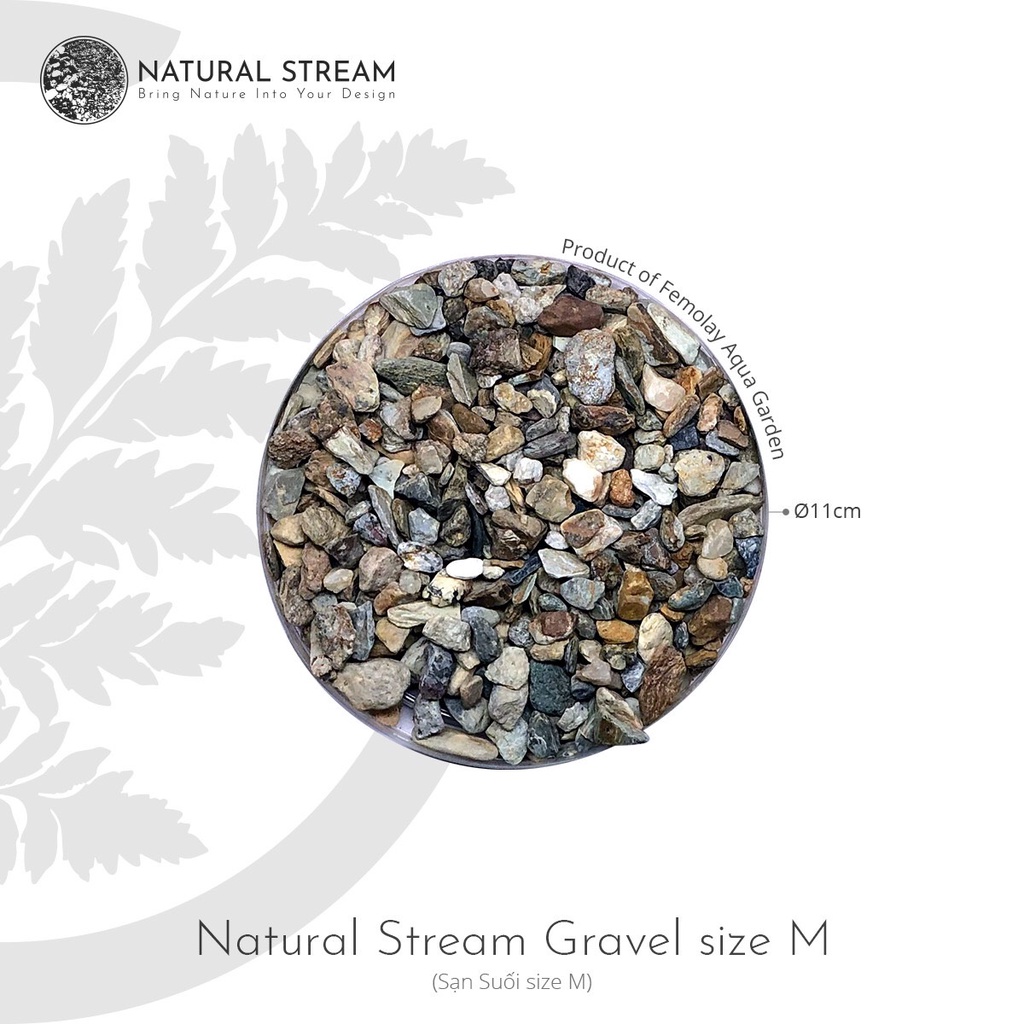 Sạn Suối Thiên Nhiên Femolay | Size M | Bao 2KG | Trang trí trải nền bể thủy sinh, Biotope.