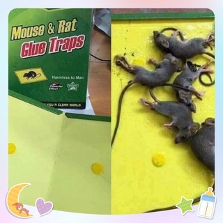 03 miếng keo dính chuột, bẫy bắt chuột siêu dính Glue Traps loại to bắt được cả chuột cống hàng nhập khẩu cao cấp