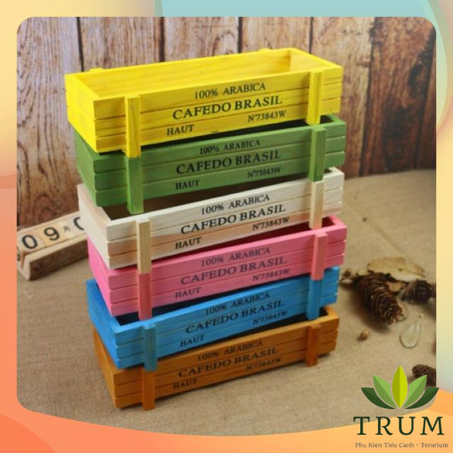Hộp Gỗ Trang Trí Làm Tiểu Cảnh Sen Đá - Cafedo 22x8cm