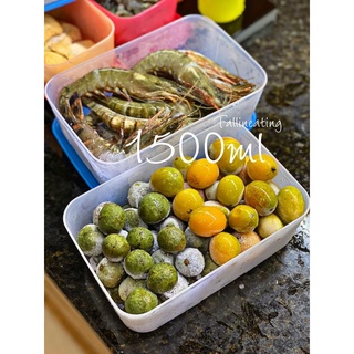 Hộp trữ đông Freezermate Essential 1.5l