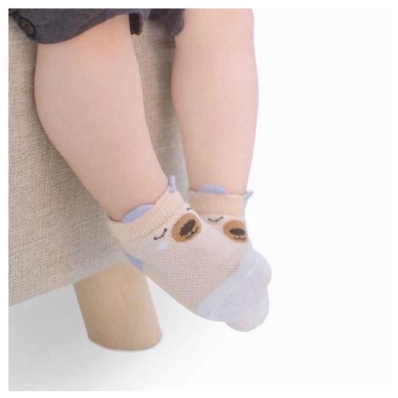 set 5 đôi tất Kid sock bé trai bé gái