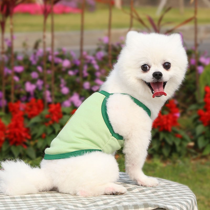 Áo ba lỗ, hai dây xách nách mùa hè thoáng mát cho thú cưng chó mèo