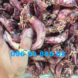 mực trứng - mực hấp - mực cơm to hơn ngón tay cái (500gr