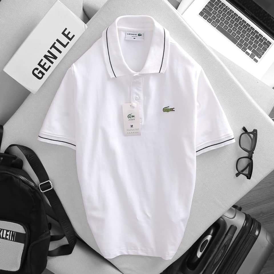Áo thun POLO nam,Cổ viền, áo thun nam ngắn tay thêu Cá Sấu,trẻ trung năng động | BigBuy360 - bigbuy360.vn