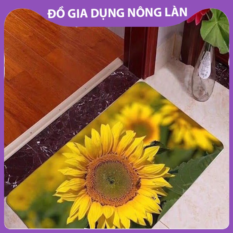 Thảm lau chân in hình 3d cực hot (giao màu ngẫu nhiên) NL Shop