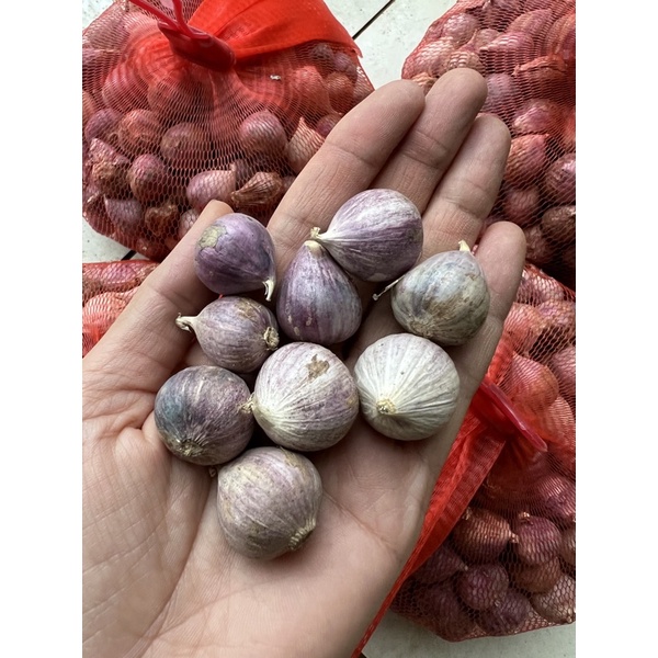 1kg Tỏi Cô Đơn tỏi mồ côi tỏi một nhánh