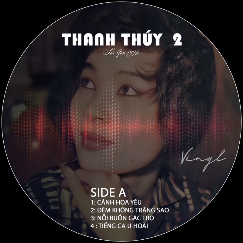 Đĩa than thanh thuý 2/33pr🇻🇳