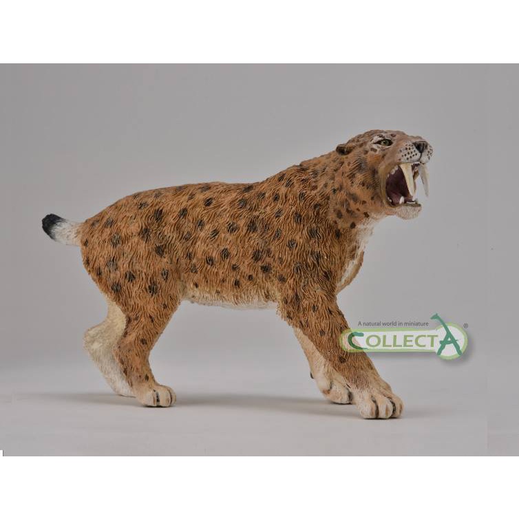 Mô hình động vật: Hổ Răng Kiếm