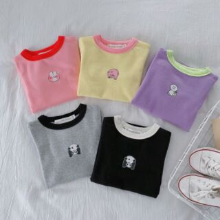 combo 3 áo cotton len