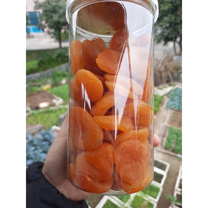500g mơ vàng sấy dẻo