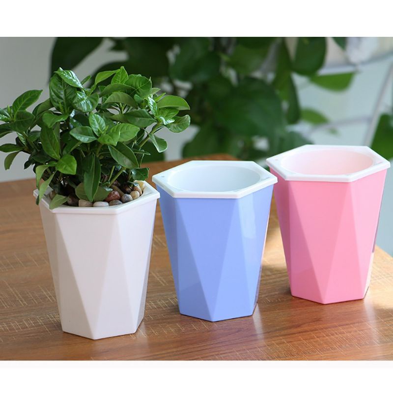 Combo 5 Chậu trồng cây thông minh tự tưới size 11 cm