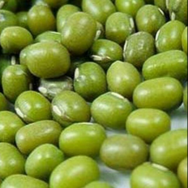 Đỗ xanh 0.5kg làm giá