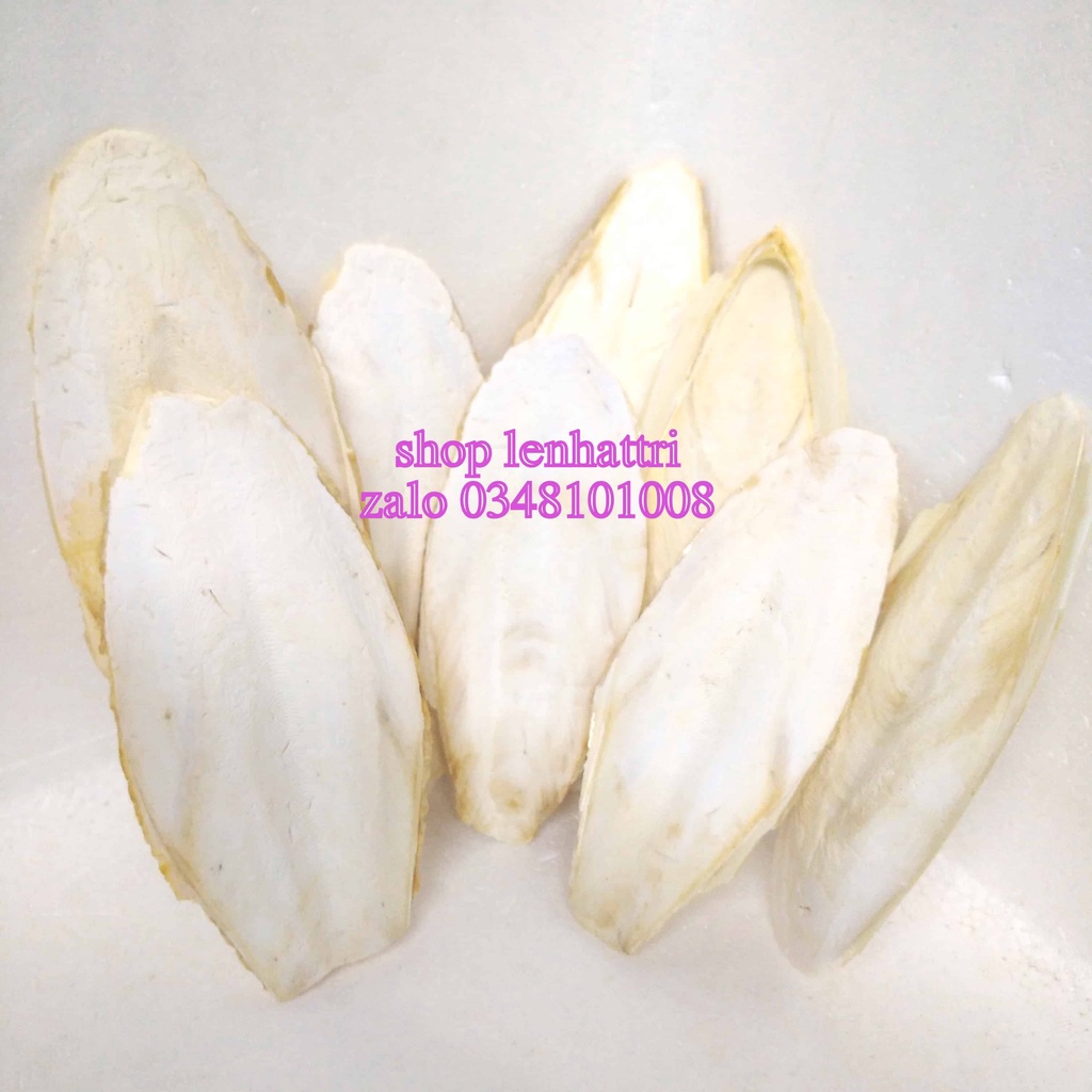 Nang mực thay cho thạch cao phi làm thực phẩm