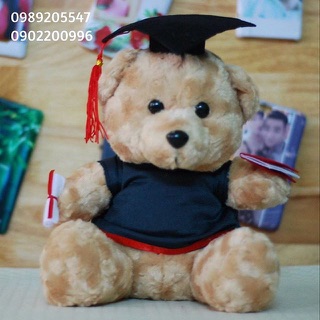 Gấu tốt nghiệp