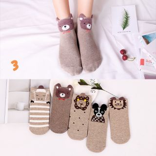 Set 5 đôi tất nữ cổ vừa (7 mẫu lựa chọn)