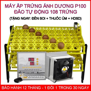 Máy ấp trứng mini Ánh Dương P100 Khay Tự Động 108 Trứng - Lắp Thùng Xốp - Kèm Đèn Soi Trứng và Quà Tặng