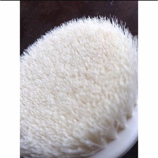 CỌ TẮM - CHÀ LƯNG MUJI Auth100%