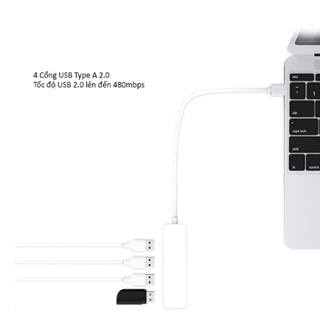 HUB Type C và HUB USB cho 4 cổng USB 2.0, USB OTG