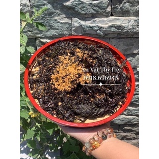 Combo: 2 bánh tráng tỏi, 2 pía, 3 rong