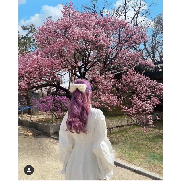 váy bèo tay dài nút bọc