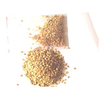 50 Hạt giống cà pháo trắng