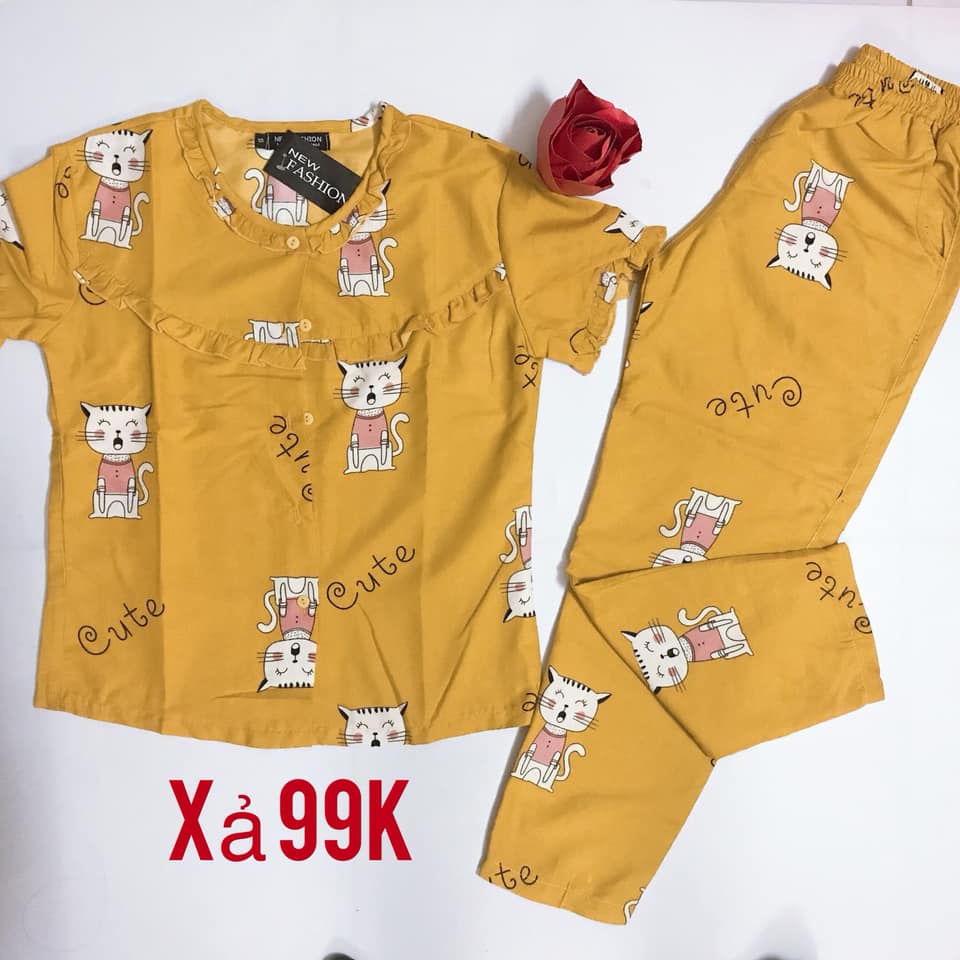 SALE BỘ ĐỒ NGỦ DÀI,QUẦN ÁO MẶC SAU SINH,NHIỀU MẪU CHO CHỊ EM LỰA CHỌN,GIÁ SỐC CHỈ TỪ 99k | BigBuy360 - bigbuy360.vn