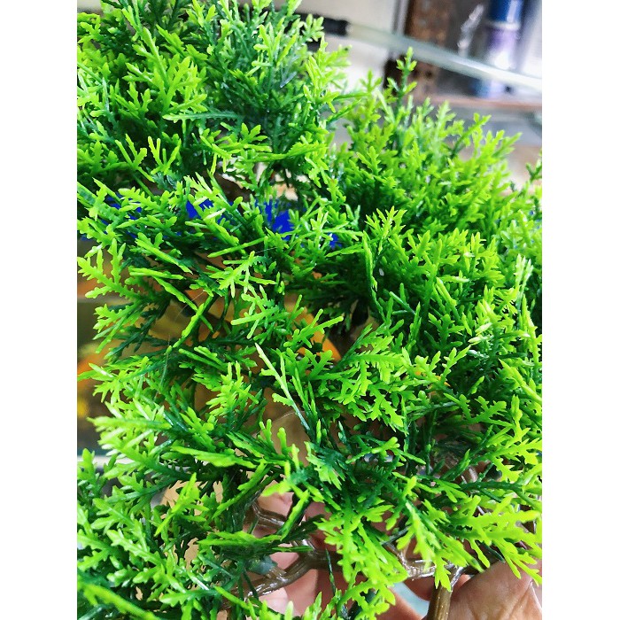 NHÁNH THÔNG GIÁ TRANG TRÍ NHÀ CỬA HỒ CÁ TIỂU CẢNH NON BỘ DÀI 30CM