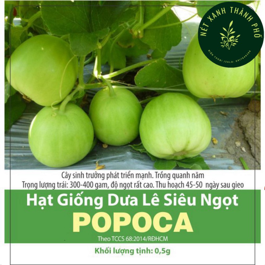 Hạt giống Dưa Lê Popoca siêu trái, siêu ngọt 0.5gr