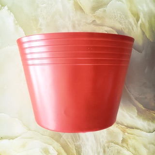 50 chậu nhựa C10 lớn màu đỏ trồng hoa Tết
