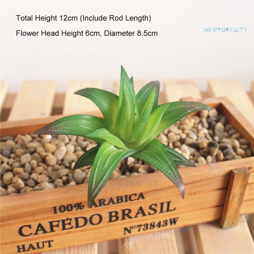 Chậu Cây Lô Hội Nhân Tạo Bằng PVC Trang Trí Khách Sạn DIY