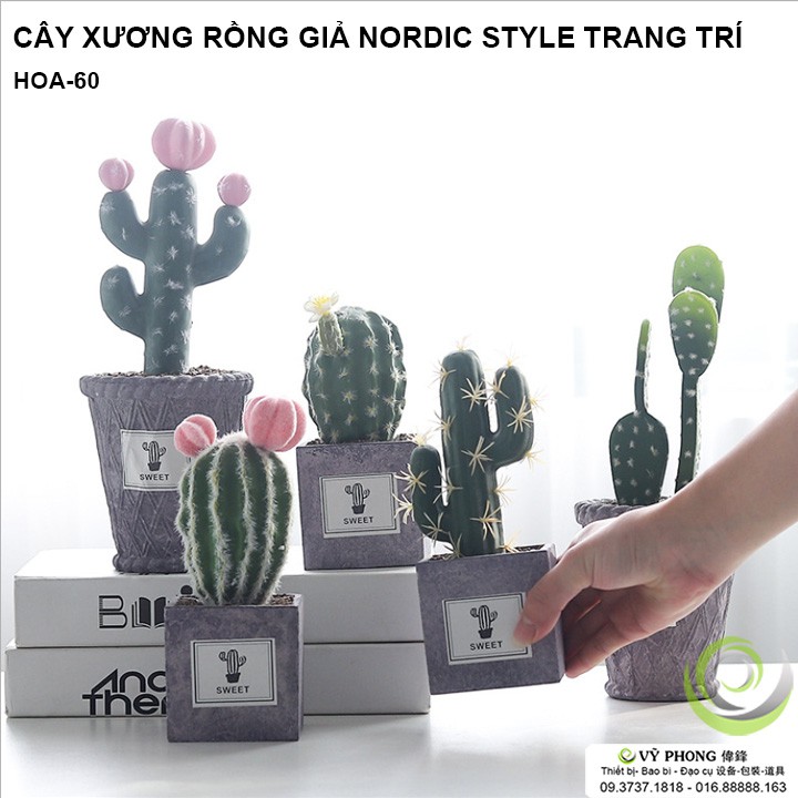 CÂY XƯƠNG RỒNG GIẢ TRANG TRÍ NORDIC STYLE ĐẠO CỤ CHỤP ẢNH HOA-60